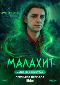 Журналист