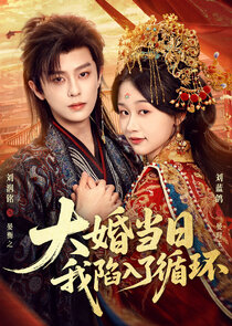 Da Hun Dang Ri，Wo Xian Ru Le Xun Huan