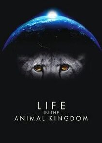 Life in the Animal Kingdom