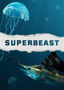 Superbeast