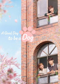 A Good Day to Be a Dog