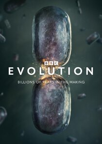 Evolution poster