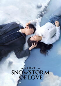 Amidst a Snowstorm of Love poszter