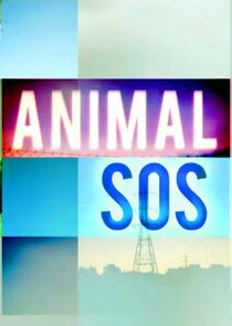 Animal S.O.S.
