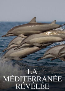 La Méditerranée révélée
