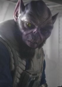 Zeb