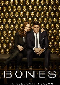Season 11