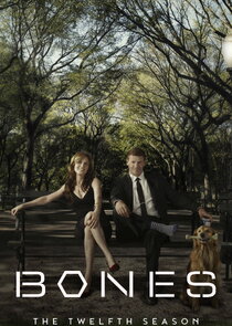 Season 12