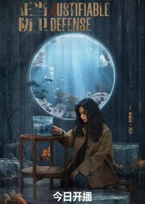 Mei Zheng