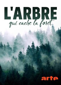 L'arbre qui cache la forêt poster