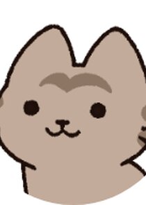 Kijitora