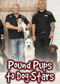 Pound Pups To Dog Stars