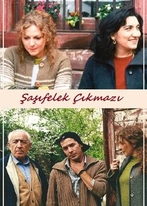 Şaşıfelek Çıkmazı