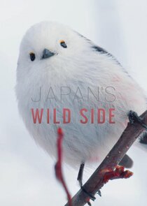 Japan's Wild Side poster