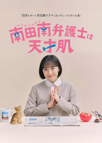 Extraordinary Attorney Minami