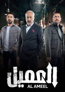 Al Ameel poster