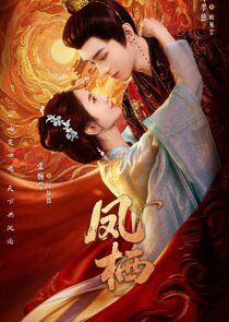 Feng Qi