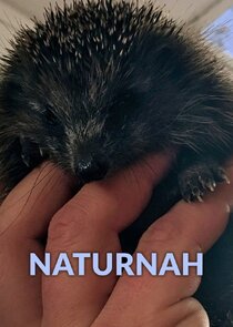 NaturNah poster