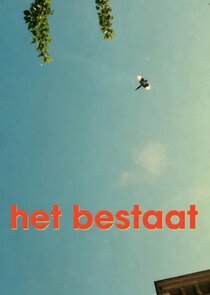 Het Bestaat poster