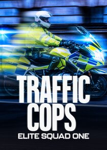 Traffic Cops: Elite Squad One Season 2