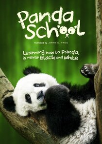 Panda School
