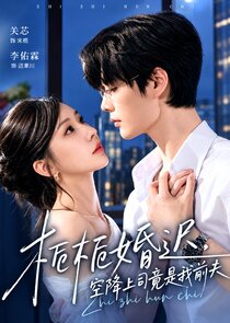 Zhizhi's Delayed Marriage, My New Boss Turned Out To Be My Ex-Husband poster