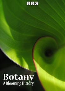 Botany: A Blooming History