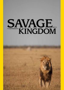 Savage Kingdom small logo