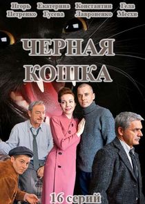 Чёрная кошка — кадр