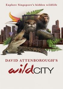 Wild City — кадр