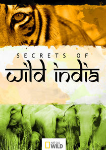 Secrets of Wild India