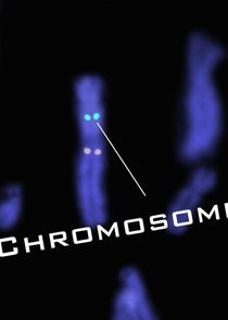 Dead Famous DNA — кадр