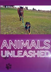 Animals Unleashed | TVmaze