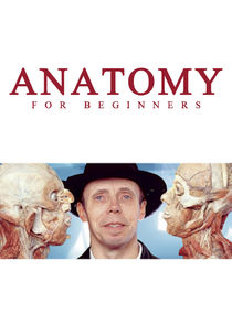 Anatomy for Beginners — кадр