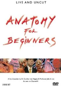 Anatomy for Beginners — кадр