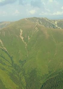 Wild Carpathia — кадр