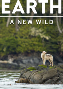 Earth: A New Wild