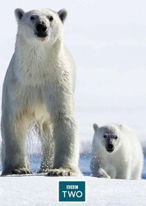 Arctic Live — кадр
