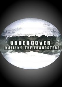 Undercover: Nailing the Fraudsters