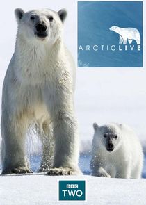 Arctic Live — кадр
