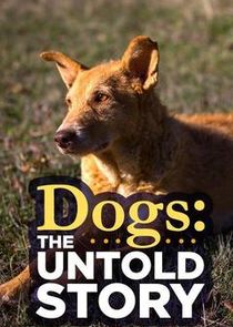 Dogs: The Untold Story