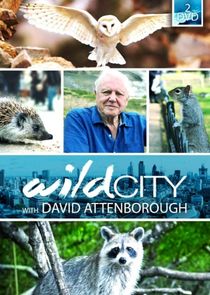 Wild City