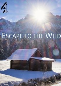 Escape to the Wild