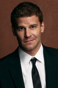 Special Agent Seeley Booth