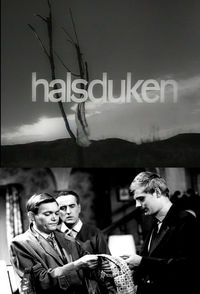 Halsduken