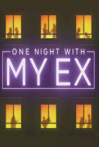 One Night with My Ex