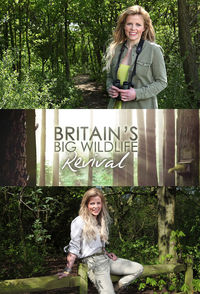 Britain's Big Wildlife Revival