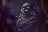 Spirit of the Swamp