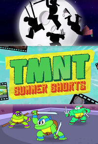 TMNT Summer Shorts