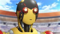 Robot Wrestling